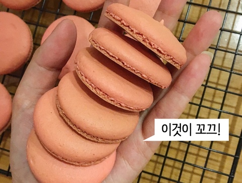 홈베이킹 쉽게 시작해요🍰 미니오븐으로 만드는 마카롱, 오늘의집 고수들의 꿀팁 | 라이프스타일 슈퍼앱, 오늘의집 홈베이킹 쉽게 시작해요🍰 미니오븐으로 만드는 마카롱, 오늘의집 고수들의 꿀팁 | 라이프스타일 슈퍼앱, 오늘의집
