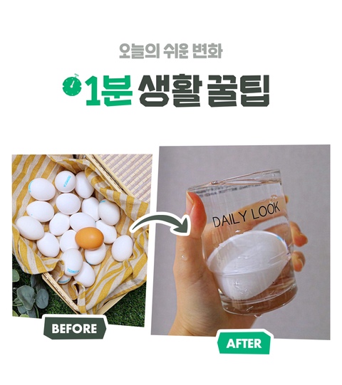 오래된 계란, 상했는지 확인하는 신박한 방법 🥚 | 예쁜템들 모여사는 오늘의집 인테리어 집꾸미기 고수들의 팁 오래된 계란, 상했는지 확인하는 신박한 방법 🥚 | 예쁜템들 모여사는 오늘의집 인테리어 집꾸미기 고수들의 팁