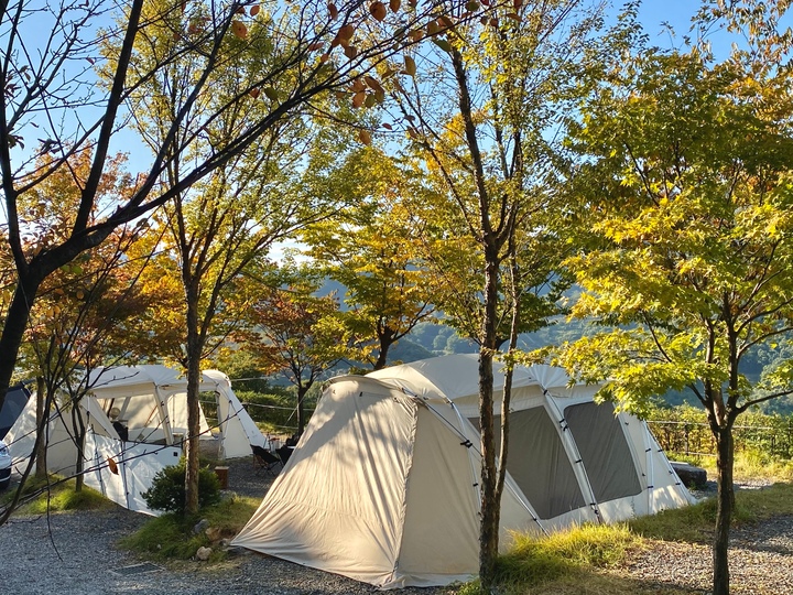 thedim_camping님의 인테리어 사진 | 예쁜템들 모여사는 오늘의집 유저들의 집꾸미기 thedim_camping님의 인테리어 사진