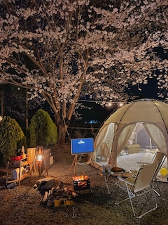 캠핑가구 > outing shelf mini | 오늘의집 쇼핑 outing shelf mini 