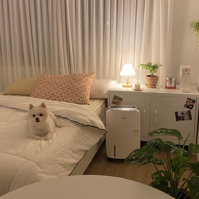 모어댄러브님의 인테리어 사진 | 오늘의집 유저들의 집꾸미기 모어댄러브님의 인테리어 사진