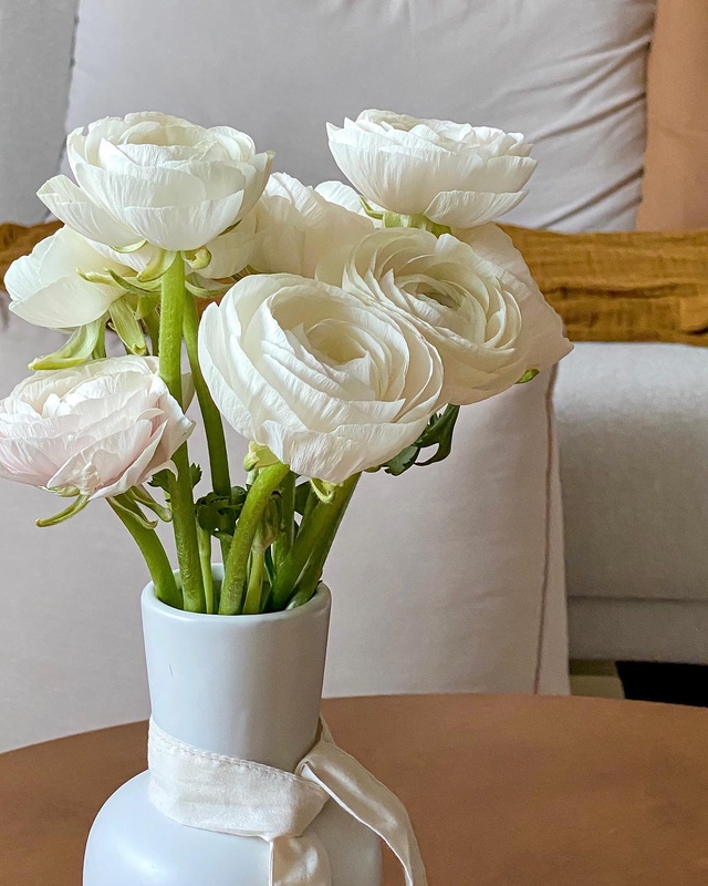gahyeoeo.home님의 인테리어 사진 | 예쁜템들 모여사는 오늘의집 유저들의 집꾸미기 gahyeoeo.home님의 인테리어 사진