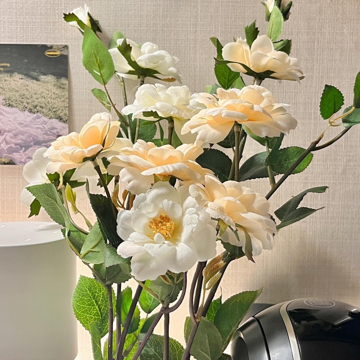 다해하우스님의 인테리어 사진 | 예쁜템들 모여사는 오늘의집 유저들의 집꾸미기 다해하우스님의 인테리어 사진