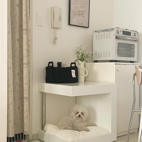 자기 아름다움을위한 방법 자기 아름다움을 방해하는 방법 1