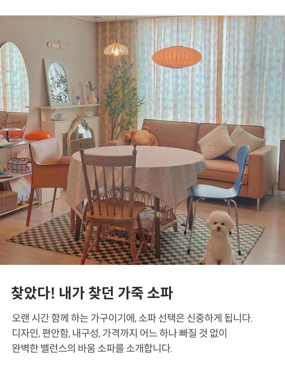 상품의 상세 설명 이미지