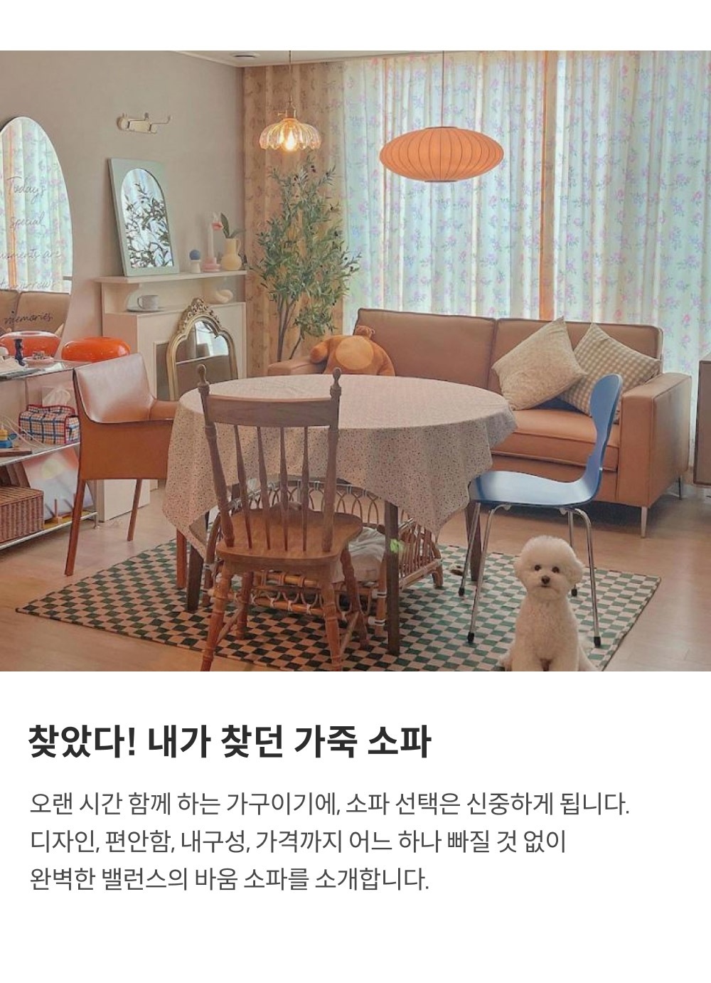 상품의 상세 설명 이미지