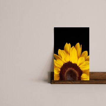 묶음배송 상품 | 예쁜템들 모여사는 오늘의집 스토어 묶음배송 상품 | 예쁜템들 모여사는 오늘의집 스토어
