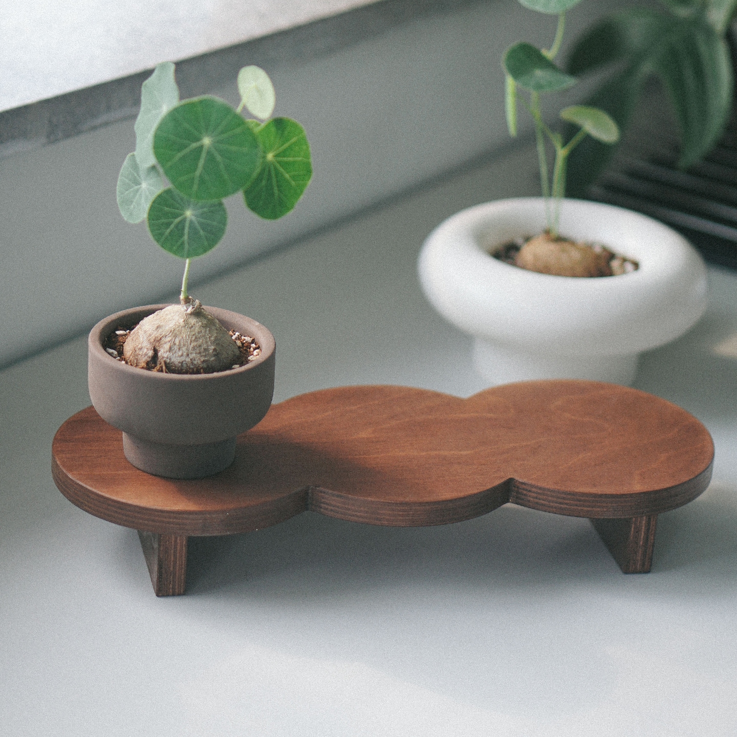 ohouse♡サークルフラワースタンド L ohouse♡サークルフラワースタンド L Amazon Plant Stand | Plants