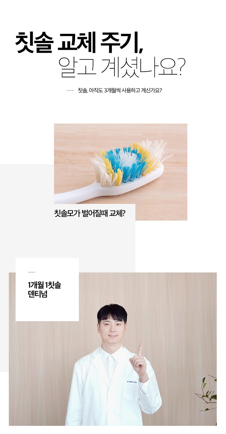 상품의 상세 설명 이미지