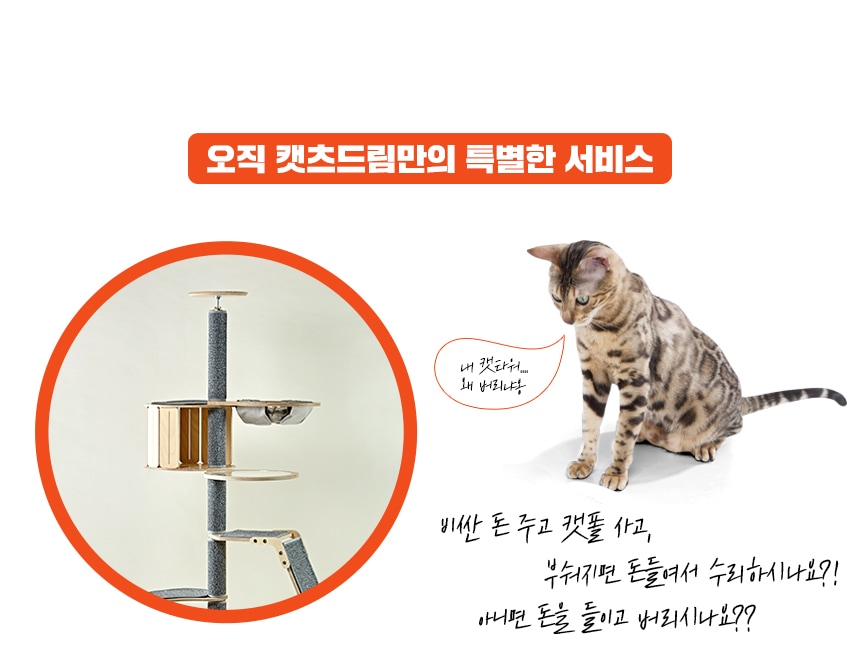 고양이 리빙 > 고양이 원목 캣폴 캣타워 브릿지 타워 set | 오늘의집 쇼핑 고양이 원목 캣폴 캣타워 브릿지 타워 set 