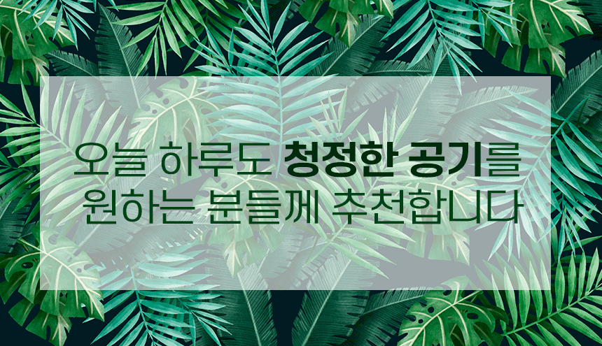 상품의 상세 설명 이미지