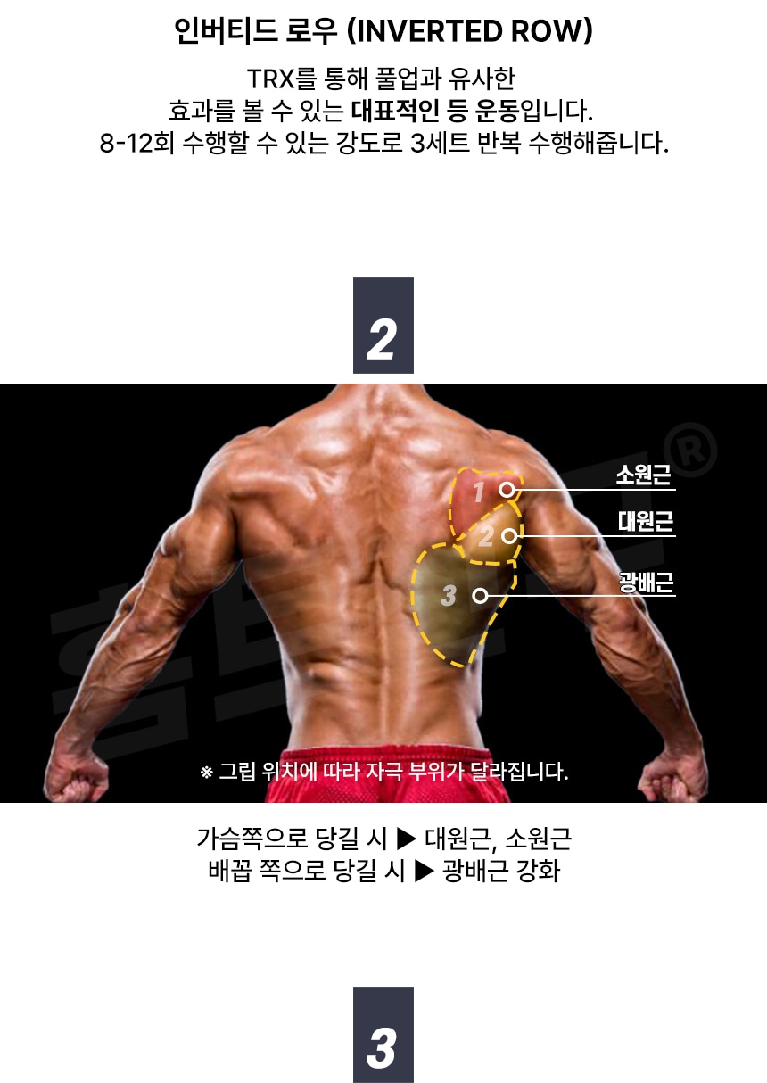 근력 > TRX 전신 코어운동 저항밴드 세트(고급형) | 오늘의집 쇼핑