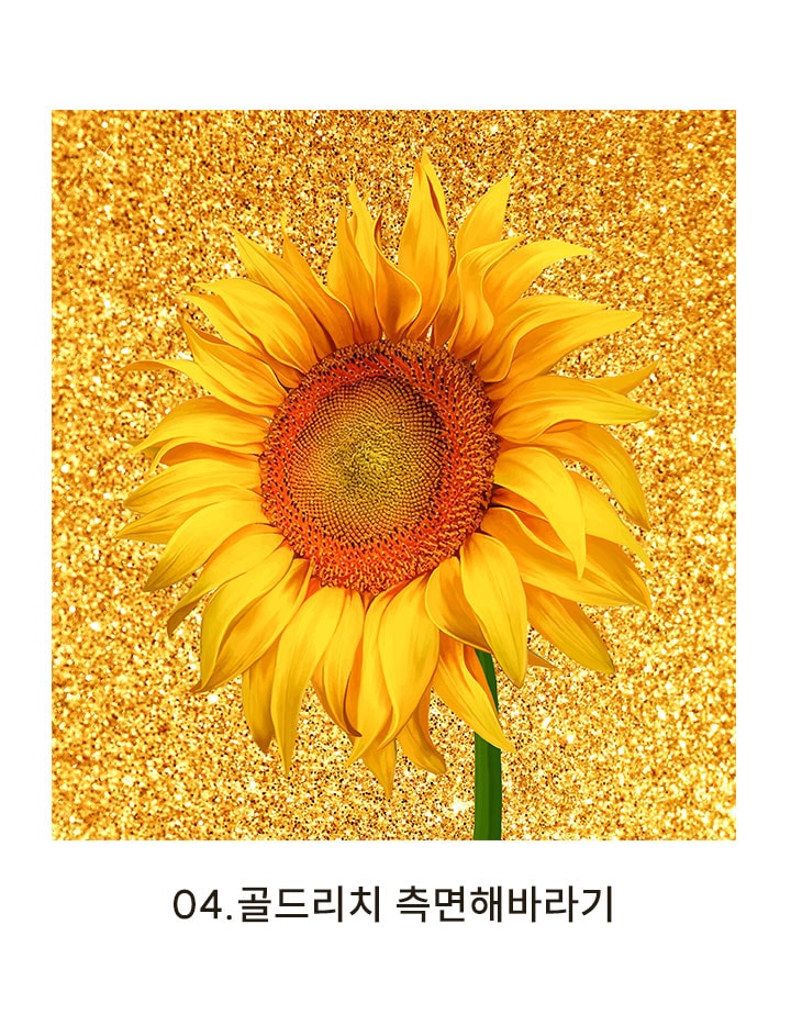 그림·사진 > 풍수 돈들어오는 황금 포스터/캔버스 액자 _골드 리치 세송이 해바라기 | 오늘의집 쇼핑 풍수 돈들어오는 황금 포스터/캔버스 액자... 