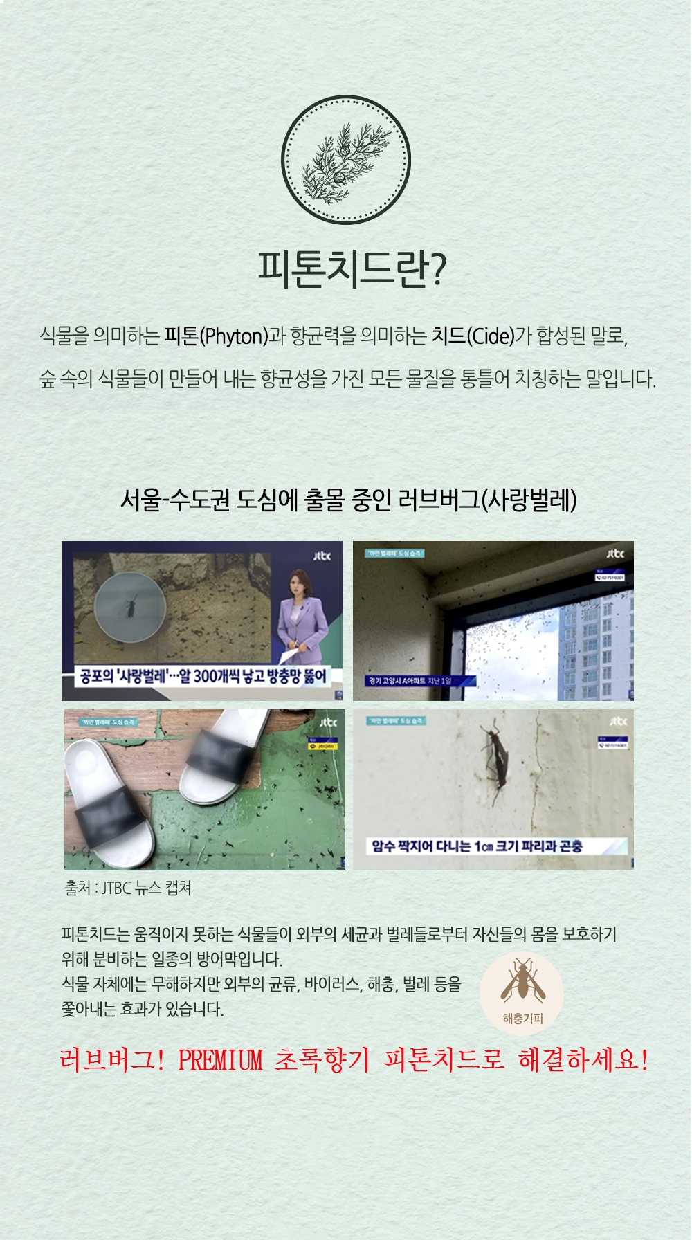 탈취·방향제 > 피톤치드 편백수 탈취제 2L + 에어라파 빈용기(300ml or 500ml 랜덤 증정) | 오늘의집 쇼핑 피톤치드 편백수 탈취제 2L... 