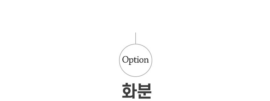 식물 > 스파티필름 소품 공기정화식물 토분세트 | 오늘의집 쇼핑