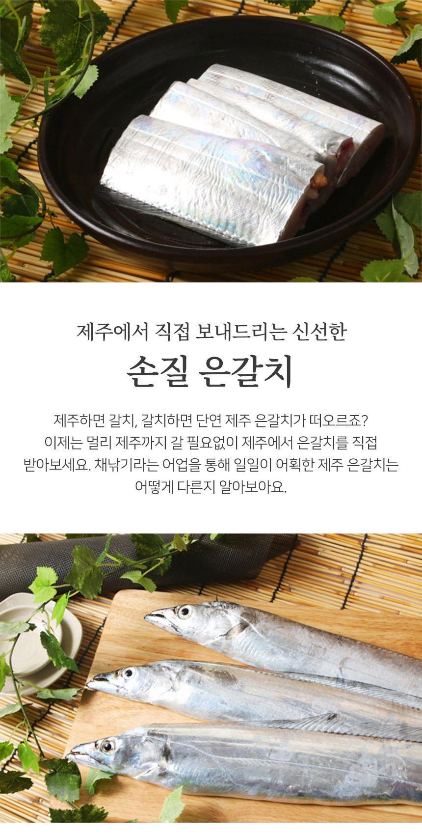 수산·건해산 > 제주직송 손질 은갈치 4마리 (160g / 230g) | 오늘의집 쇼핑