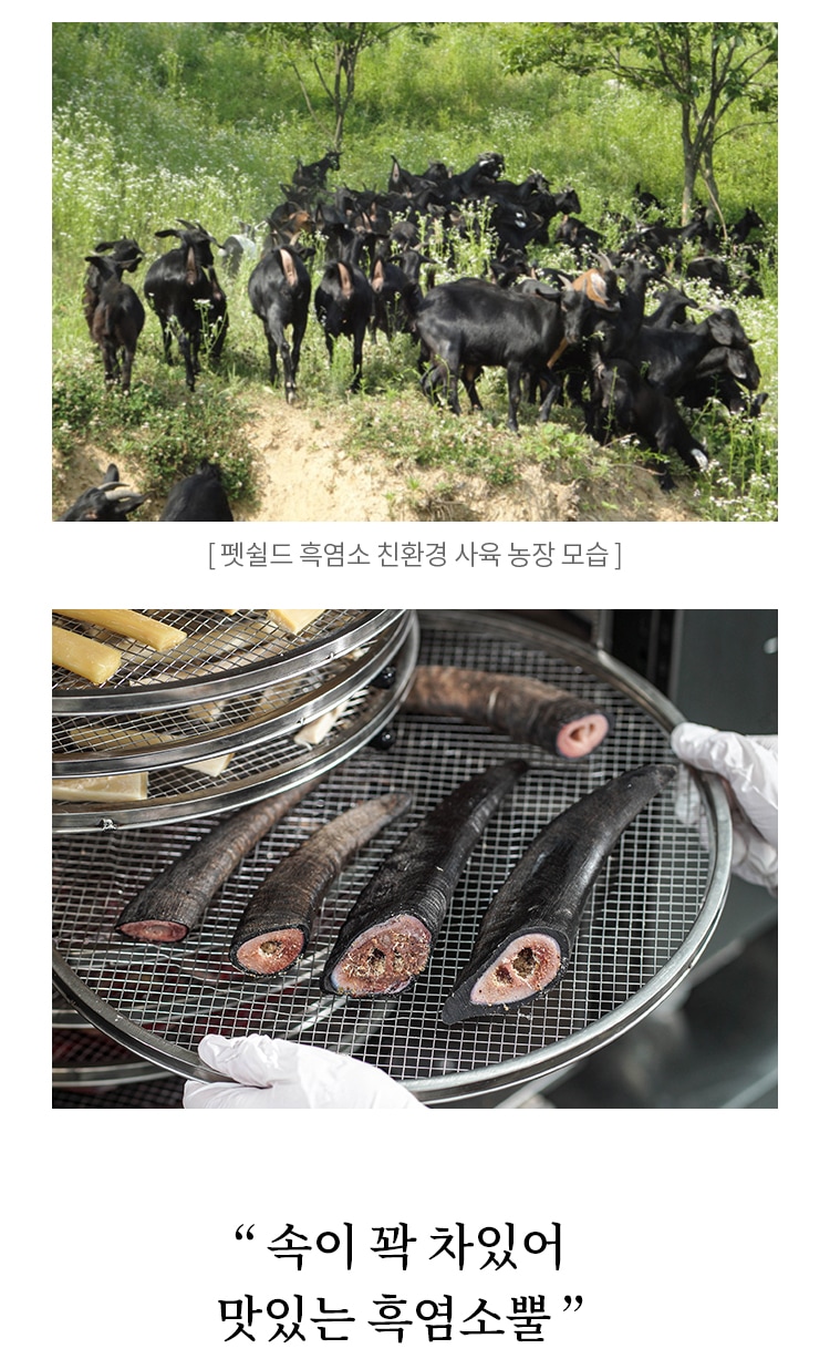 강아지 사료·간식 > 강아지 수제간식 흑염소 뿔 껌 (큰뿔) 1ea | 오늘의집 쇼핑 강아지 수제간식 흑염소 뿔 껌 (큰뿔) 1ea