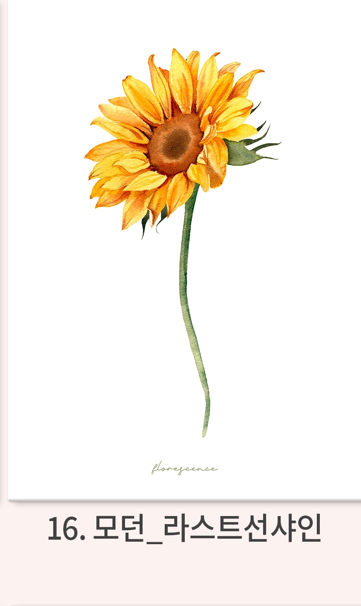 그림·사진 > 풍수 돈 들어오는 모던 해바라기 그림 액자 포스터 50종 8. 모던_블루밍해바라기 | 오늘의집 쇼핑 풍수 돈 들어오는 모던 해바라기... 
