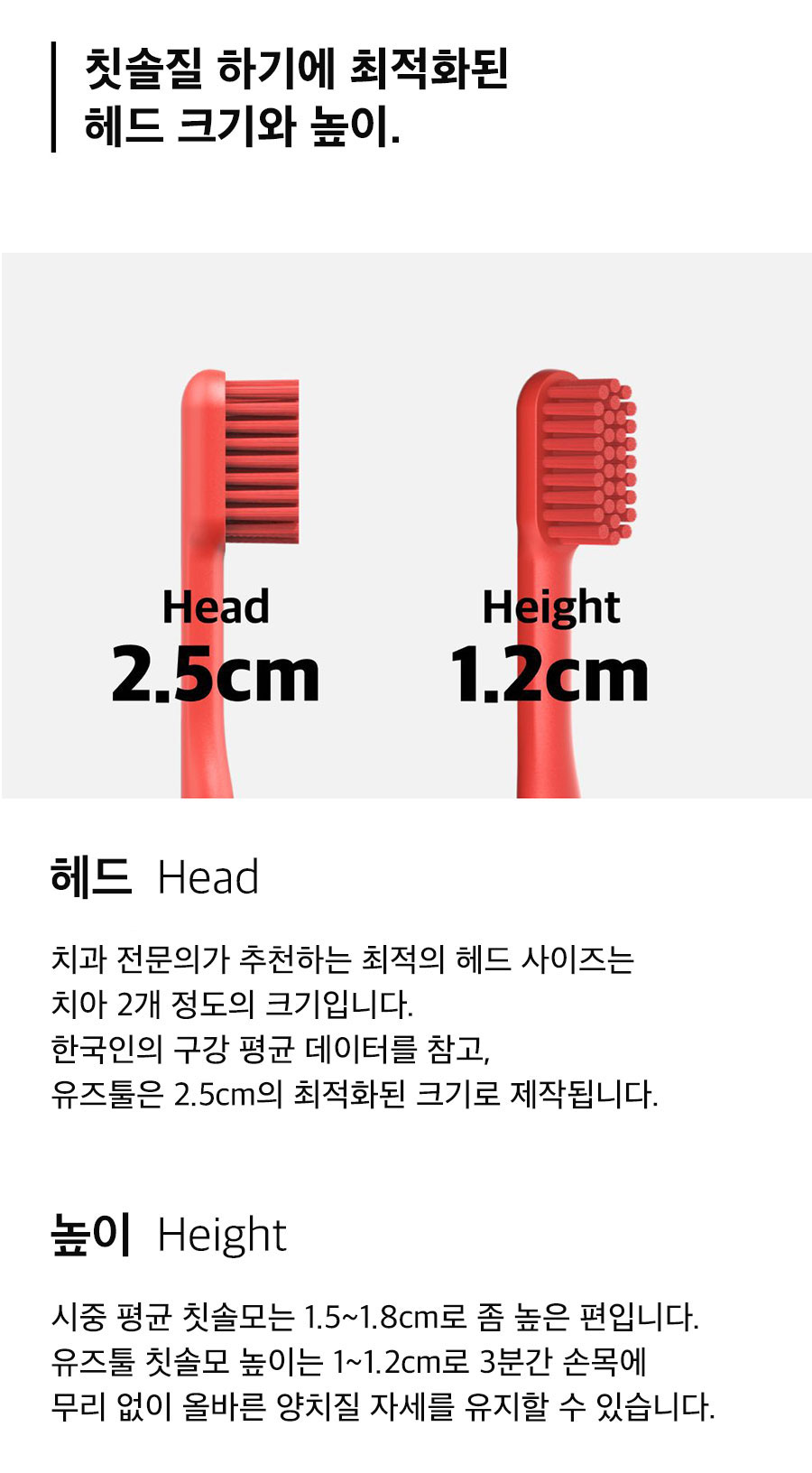 칫솔 > 유즈툴 투스브러쉬 프리미엄 자석 칫솔 4종 2P | 오늘의집 쇼핑