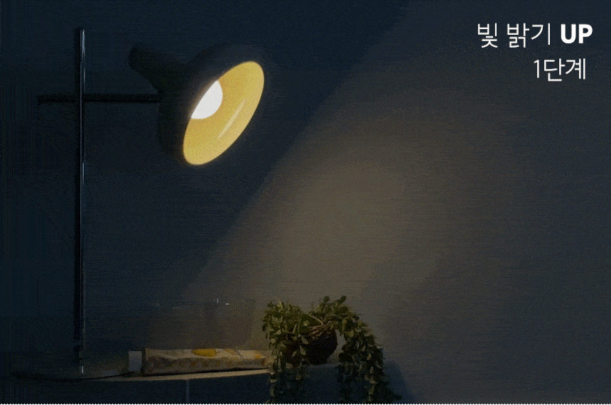168906489043330237.gif
