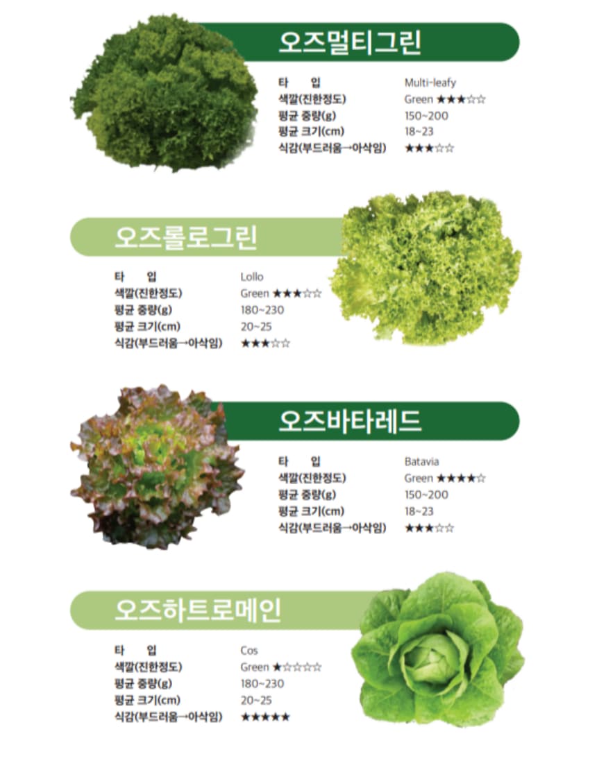 식물 > 수경재배기 식물재배기 가정용 실내 스마트팜 채소 야채 재배... 식물재배기 가정용 실내 스마트팜 채소 야채 재배 상추 키우기 1단