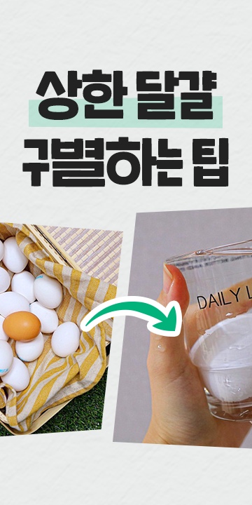 오래된 계란, 상했는지 확인하는 신박한 방법 🥚 | 예쁜템들 모여사는 오늘의집 인테리어 집꾸미기 고수들의 팁 오래된 계란, 상했는지 확인하는 신박한 방법 🥚 | 예쁜템들 모여사는 오늘의집 인테리어 집꾸미기 고수들의 팁
