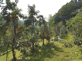 마하나임80님의 공간에 오신 것을 환영합니다.
