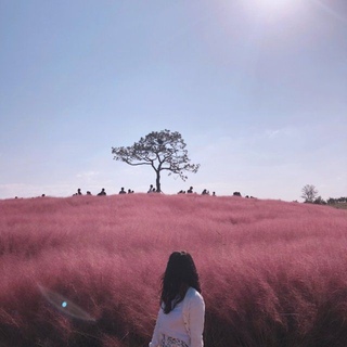 eje93님의 공간에 오신 것을 환영합니다.