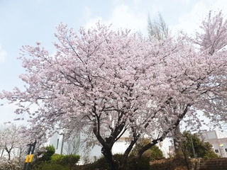 뽀로롤롤로롱님의 공간에 오신 것을 환영합니다.