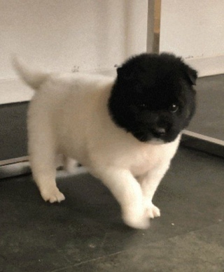 김선미123456님의 공간에 오신 것을 환영합니다.