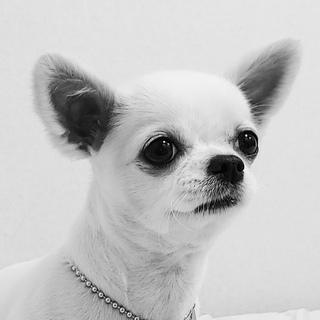 네일끌리다님의 공간에 오신 것을 환영합니다.