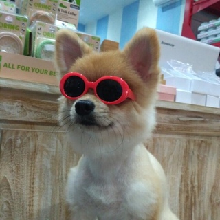 타꼬ㅇ님의 마이홈에 놀러오세요
