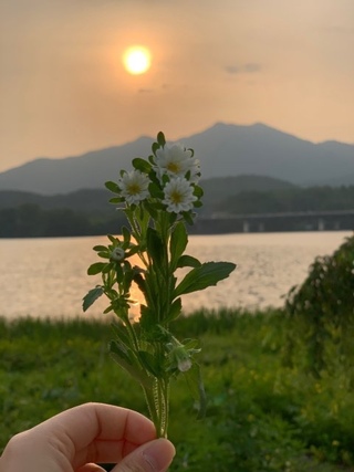해옥6님의 공간에 오신 것을 환영합니다.