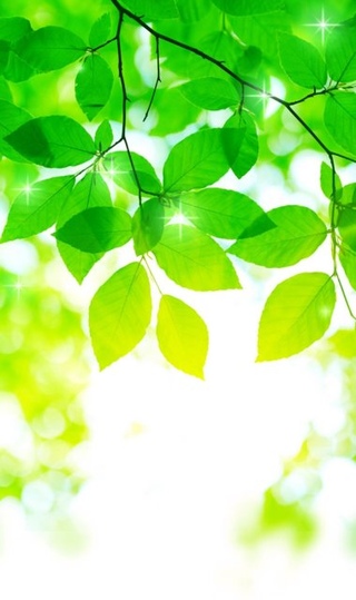 COSMOSjina🌱님의 마이홈에 놀러오세요