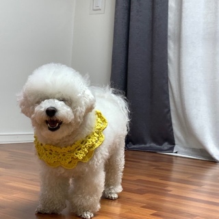 하리보리꾸꾸님의 마이홈에 놀러오세요