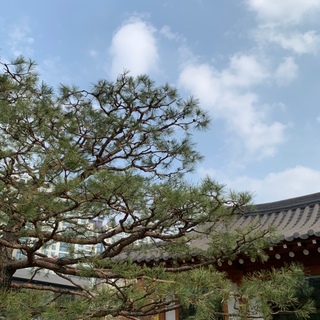 윤슬로그님의 마이홈에 놀러오세요