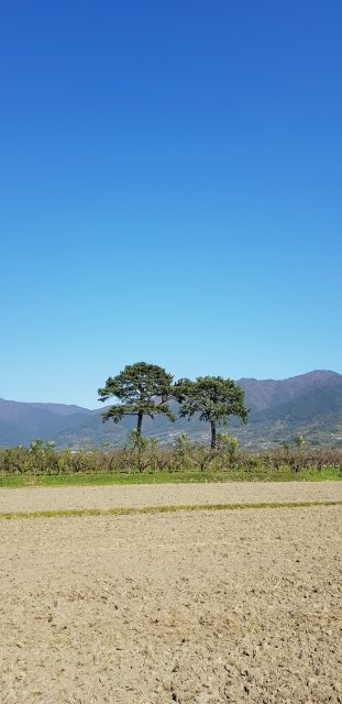 스벅광님의 마이홈에 놀러오세요