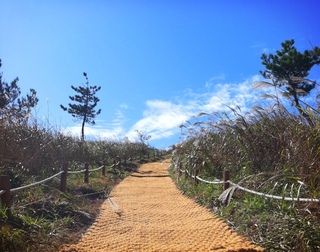 여행지기~^^♡님의 공간에 오신 것을 환영합니다.