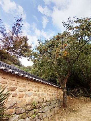 박송자7님의 공간에 오신 것을 환영합니다.