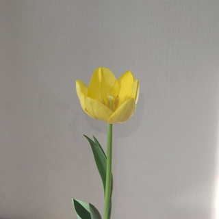 규짱14님의 마이홈에 놀러오세요