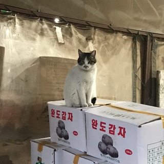 니나니나니나노1님의 공간에 오신 것을 환영합니다.