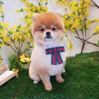 또로롱42님의 공간에 오신 것을 환영합니다.