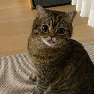 피오네🤎님의 마이홈에 놀러오세요