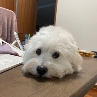오여수님의 공간에 오신 것을 환영합니다.