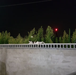 쪄니쨩님의 공간에 오신 것을 환영합니다.
