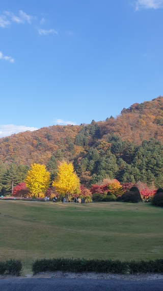 인숙220님의 공간에 오신 것을 환영합니다.