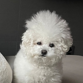 정덕맘님의 공간에 오신 것을 환영합니다.