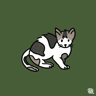 버니데이즈님의 공간에 오신 것을 환영합니다.