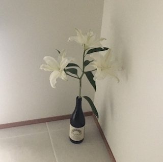 https://image.ohou.se/i/bucketplace-v2-development/uploads/users/profile_images/169223936059497745.jpeg?gif=1&w=320