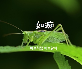 웃보11님의 공간에 오신 것을 환영합니다.